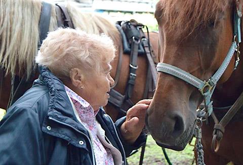 Ältere Dame streichelt Pferd