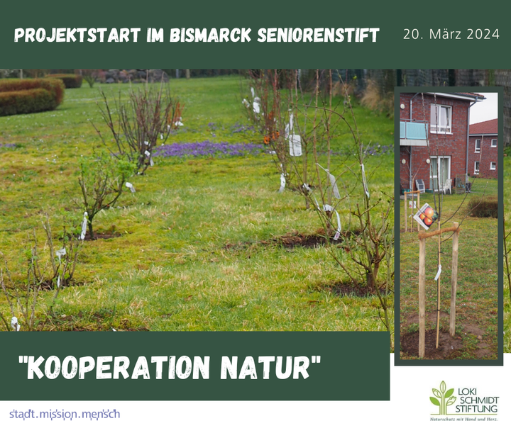 Das Bismarck Seniorenstift und die Loki-Schmidt-Stiftung haben erfolgreich das Projekt "Kooperation Natur" gestartet