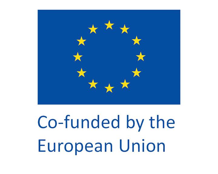 Co-funded by the European Union