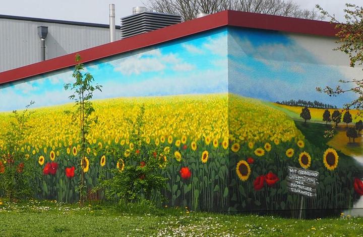 Schöner Anblick: Graffiti-Kunstwerk ziert Nebengebäude 